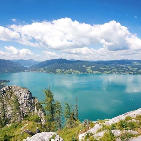 Fewo Atterseeperle - 80M2 Mit See- Und Gebirgsblick Steinbach am Attersee Ngoại thất bức ảnh