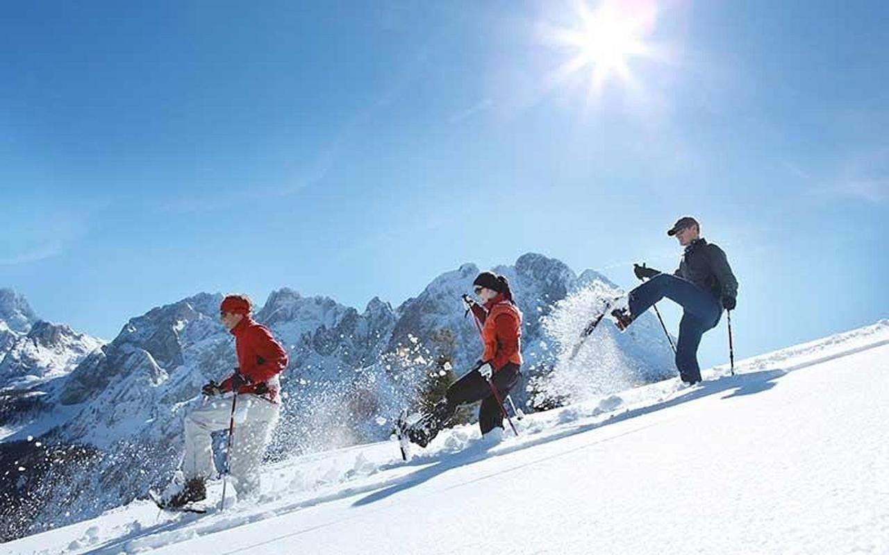 Fewo Atterseeperle - 80M2 Mit See- Und Gebirgsblick Steinbach am Attersee Ngoại thất bức ảnh