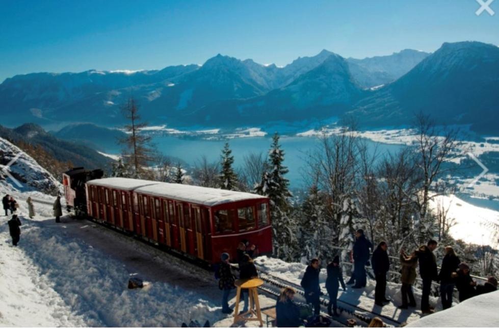 Fewo Atterseeperle - 80M2 Mit See- Und Gebirgsblick Steinbach am Attersee Ngoại thất bức ảnh