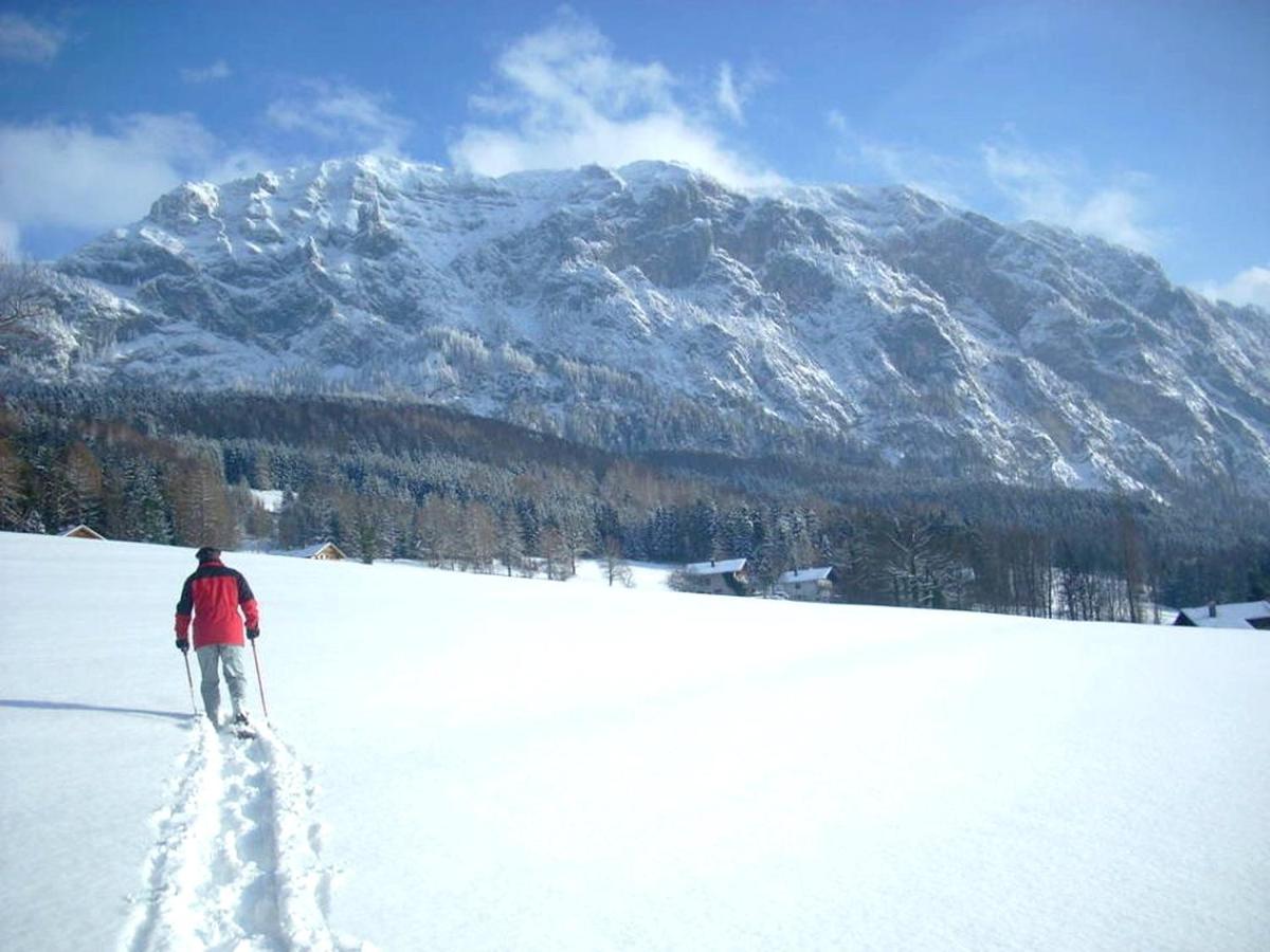 Fewo Atterseeperle - 80M2 Mit See- Und Gebirgsblick Steinbach am Attersee Ngoại thất bức ảnh