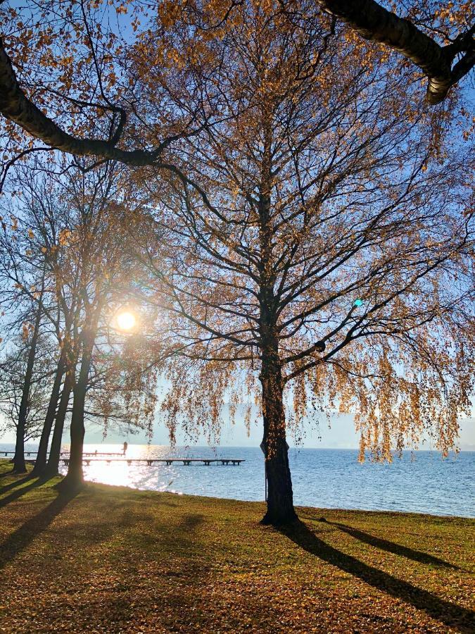 Fewo Atterseeperle - 80M2 Mit See- Und Gebirgsblick Steinbach am Attersee Ngoại thất bức ảnh