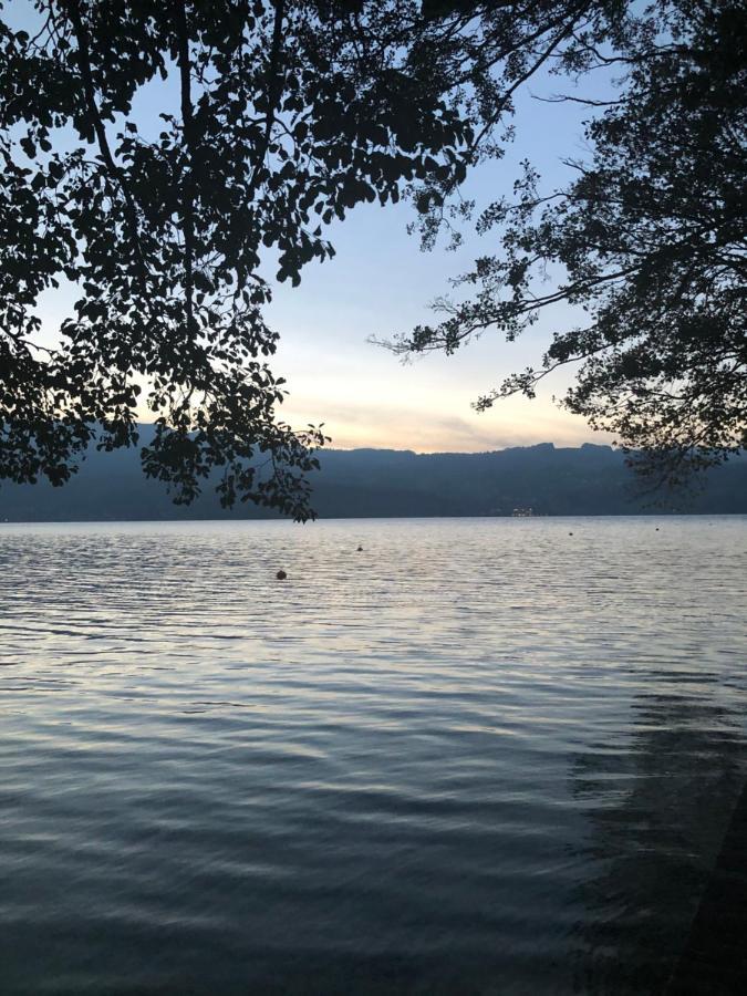 Fewo Atterseeperle - 80M2 Mit See- Und Gebirgsblick Steinbach am Attersee Ngoại thất bức ảnh