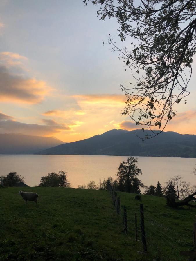 Fewo Atterseeperle - 80M2 Mit See- Und Gebirgsblick Steinbach am Attersee Ngoại thất bức ảnh