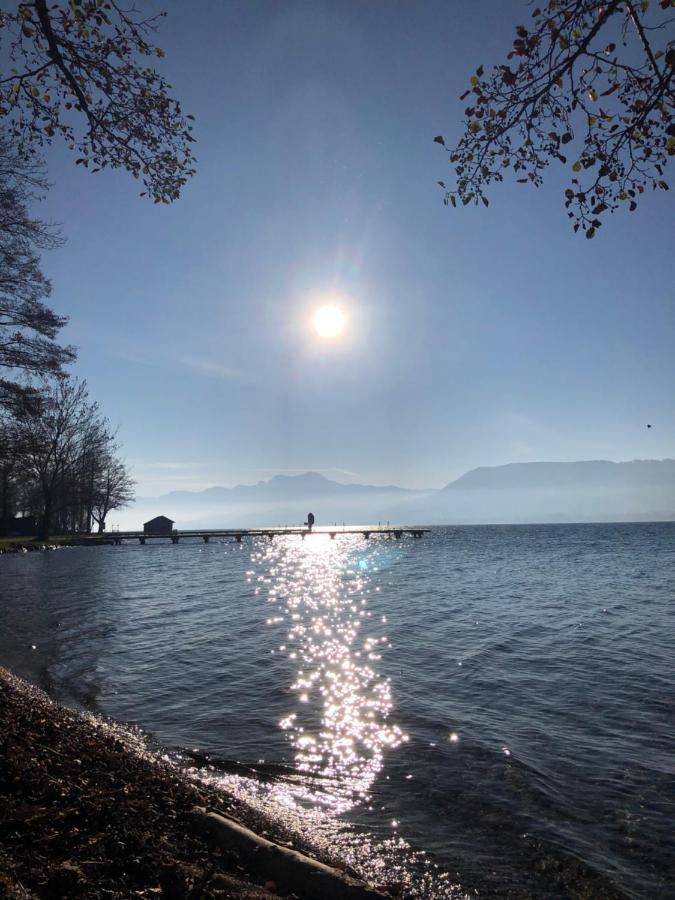 Fewo Atterseeperle - 80M2 Mit See- Und Gebirgsblick Steinbach am Attersee Ngoại thất bức ảnh