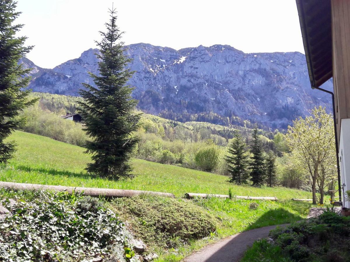 Fewo Atterseeperle - 80M2 Mit See- Und Gebirgsblick Steinbach am Attersee Ngoại thất bức ảnh